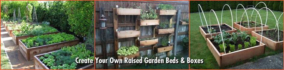 CFO_Raised_Garden_Beds